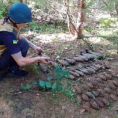 Розмінування на Хустщині тривало майже місяць: знищили понад пів тисячі вибухонебезпечних предметів