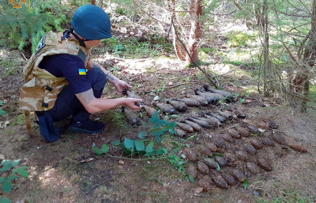 Розмінування на Хустщині тривало майже місяць: знищили понад пів тисячі вибухонебезпечних предметів