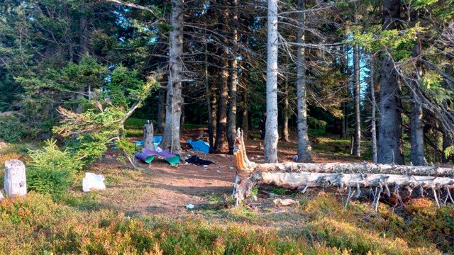 В лікарні отямилася постраждала туристка від вибуху в Карпатах: що відомо про її стан