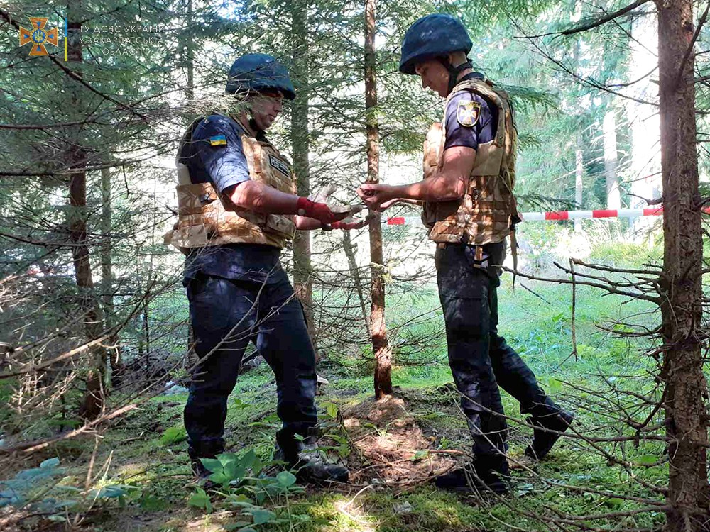 ДСНС, Закарпаття, Хустщина, розмінування, місяць, міни