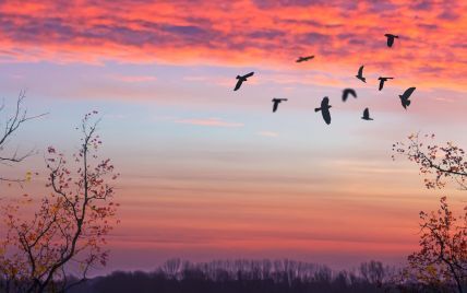 День духовного преображення: гороскоп на 25 жовтня для всіх знаків Зодіаку