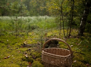 На Закарпатті всю ніч шукали чоловіка: досі його не знайшли