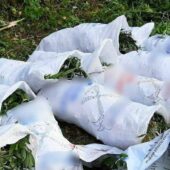 У 25-річного закарпатця вилучили майже 45 кілограмів конопель