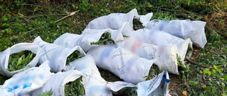 У 25-річного закарпатця вилучили майже 45 кілограмів конопель