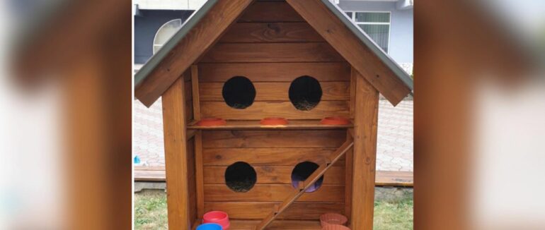 У центральній частині Мукачева забрали будиночок для котів