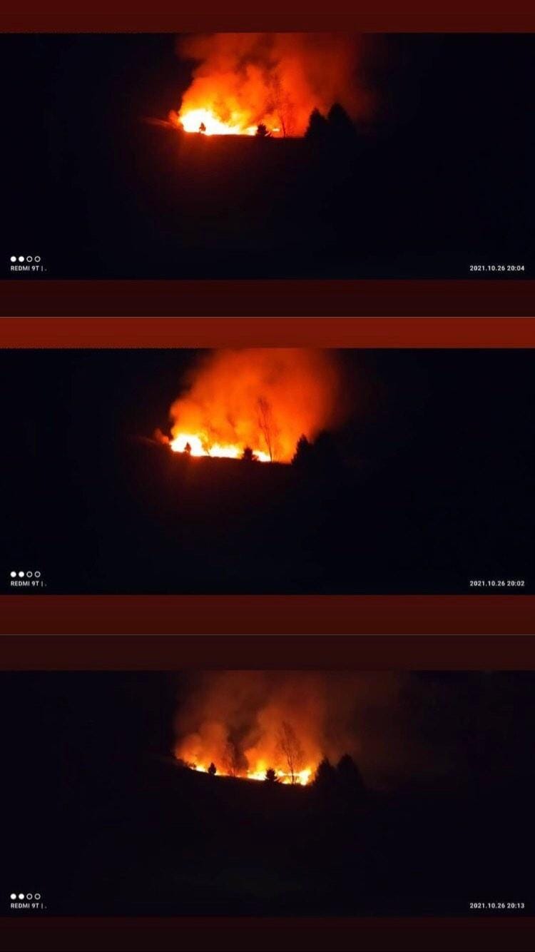 Пізно ввечері у Ясіні горів сухостій: вогонь було видно далеко