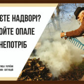 На Закарпатті через пожежі в екосистемах знищено 6 гектарів рослинності