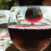 Таємниці сонячного напою: технологія та рецептура виробництва закарпатського вина (ВІДЕО)