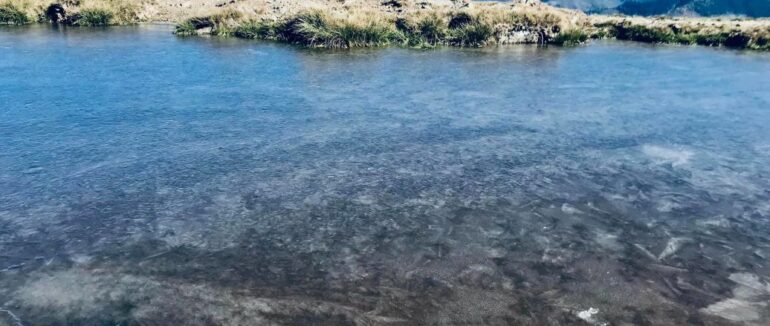 Холодна осінь: у Карпатах між горами замерзло озеро