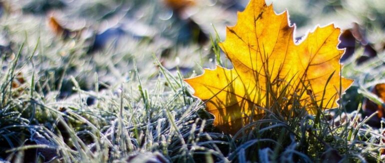 З наступного тижня на Закарпатті похолодає