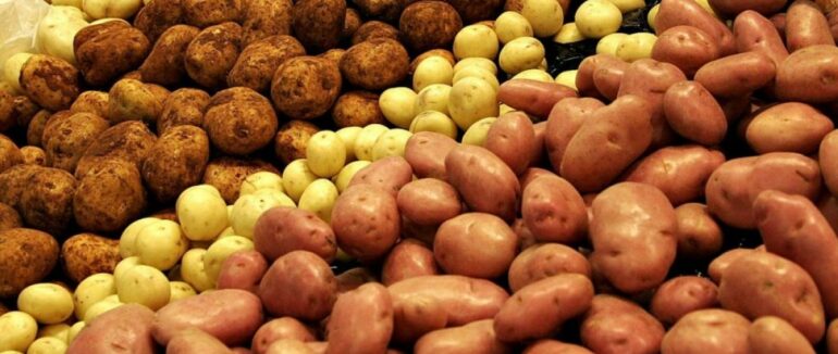 В Україні подорожчає картопля