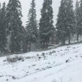 У Карпатах справжня зима