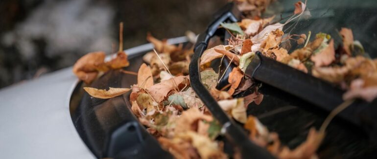 Як правильно експлуатувати та доглядати автомобіль восени: поради водіям