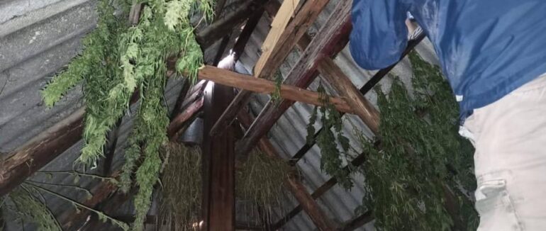 Зберігав велику кількість наркотиків: жителя Берегівщини взяли під варту