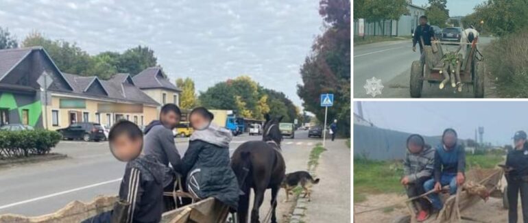 37 порушень ПДР особами, що керують гужовим транспортом зафіксували на Закарпатті за тиждень