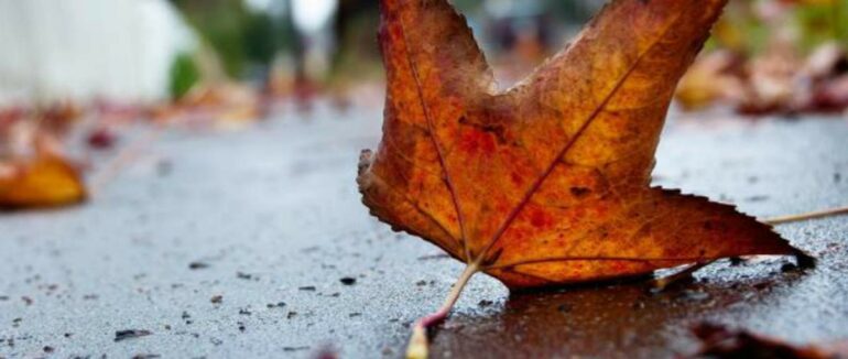 Сьогодні буде без опадів, але місцями тумани