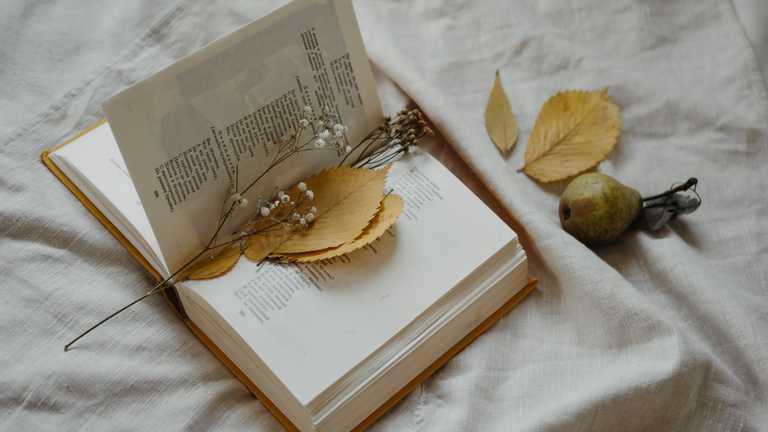 Що почитати у жовтні: 5 цікавих зарубіжних новинок, які не можна оминути