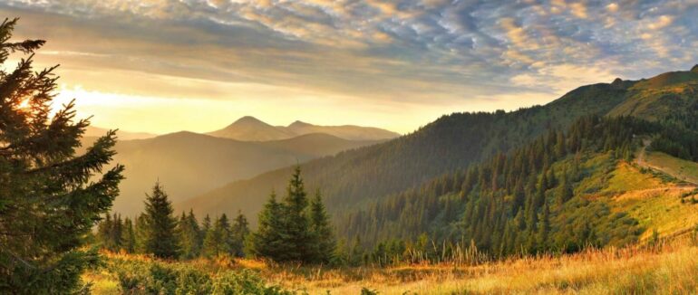 У горах на Закарпатті врятували більше 340 туристів з початку року