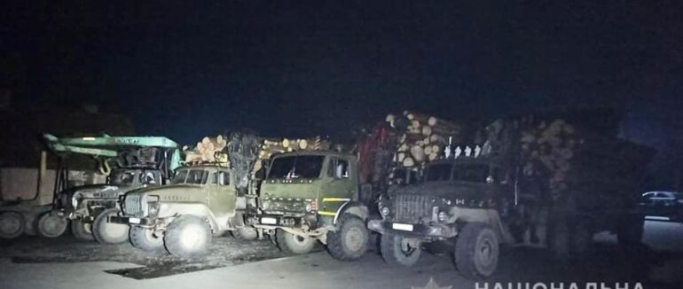 Закарпатті поліцейські вилучили нелегальної деревини на майже пів мільйона гривень