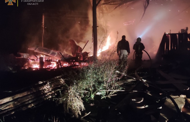 Ранкова пожежа на Мукачівщині: у Нижніх Воротах горів деревообробний цех