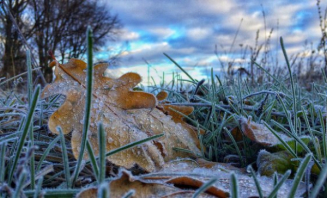 Цього тижня на Закарпатті суттєво похолодає