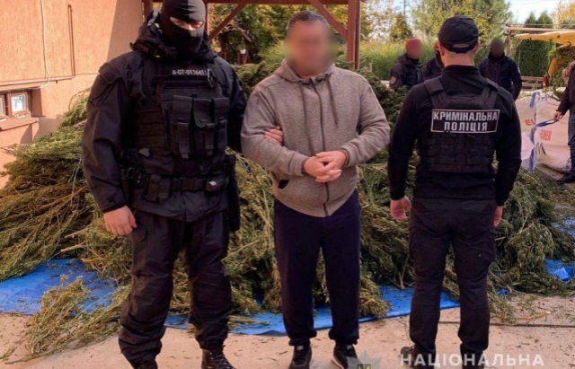 Закарпатця, якого затримали із 300 кг коноплі, взяли під варту