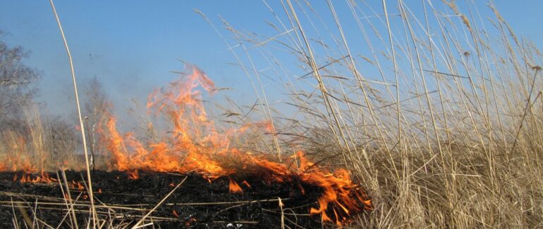 За 9 місяців закарпатські вогнеборці отримували понад 1500 викликів про пожежу