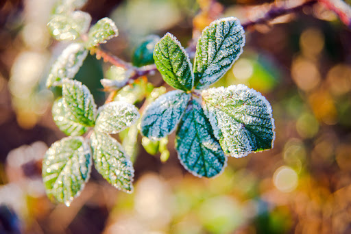 На Закарпатті на вихідних суттєво похолодає