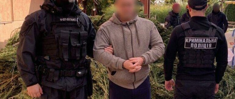 Вилучили майже 300 кг коноплі: на Закарпатті затримали наркоторговця