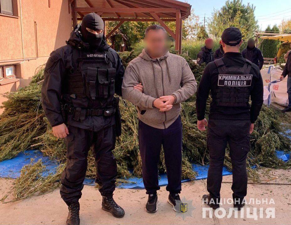 Вилучили майже 300 кг коноплі: на Закарпатті затримали наркоторговця