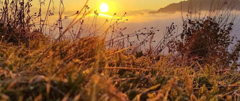 Золота осінь на Закарпатті