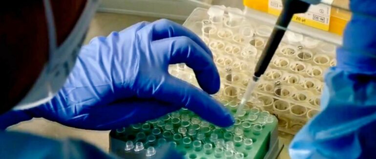 Угорщина передасть Закарпаттю чергову партію вакцин проти поліомієліту та інших хвороб