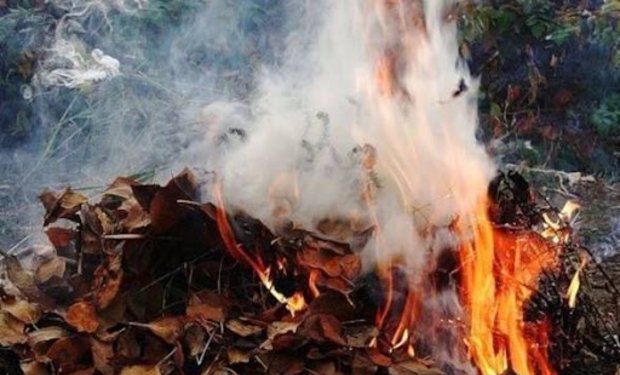 Закарпатка сплатить чималий штраф за спалювання листя