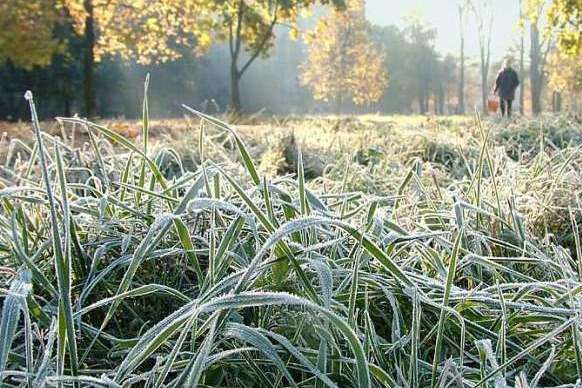 Сьогодні на Закарпатті буде без опадів та тепла