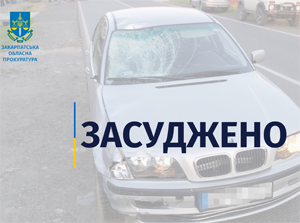 Закарпатець за скоєнення смертельної ДТП понесе покарання