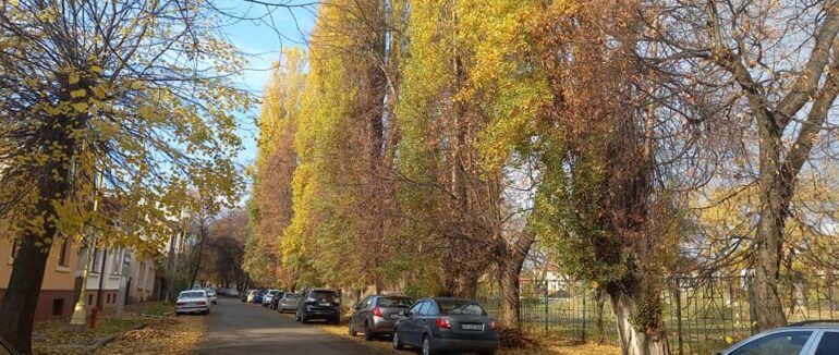 В Ужгороді два дні буде обмежено рух на одній із вулиць (СХЕМА)