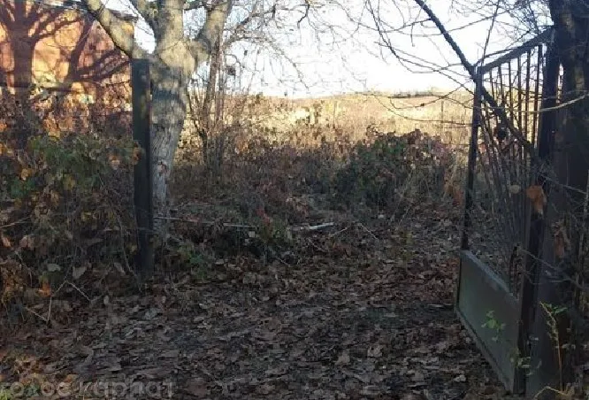 На Берегівщині крадуть метал