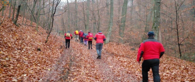 Киянина, який заблукав вчора ввечері на Закарпатті, знайшли