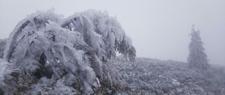 У горах на Закарпатті вирує справжня зима