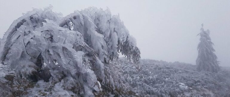 Закарпатців та туристів просять утриматися від походів у Карпати