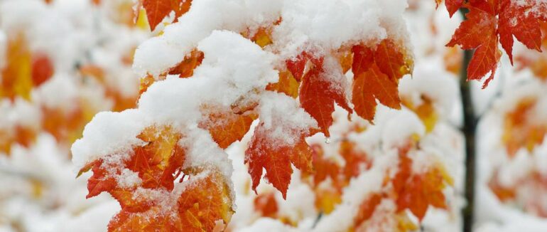 Коли очікувати перший сніг: прогноз погоди від синоптика