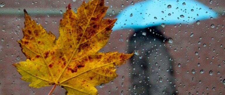 Сьогодні і завтра дощитиме на Закарпатті