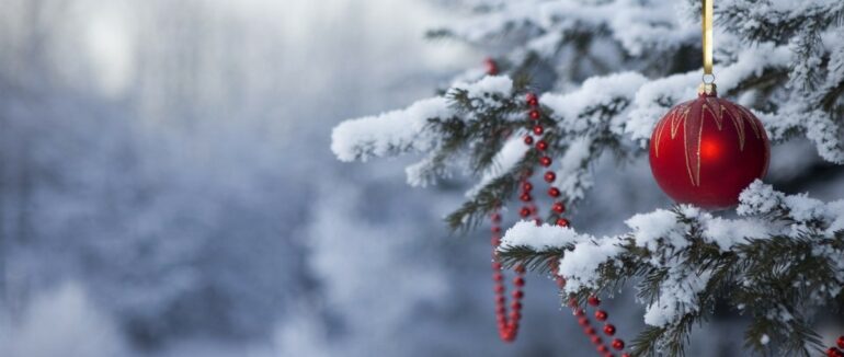 Ялинка із 3-D ілюмінацією, гарячі напої та випічка, фотозона: як у Мукачеві готуються до новорічних свят