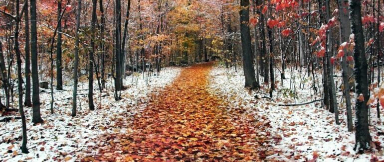 Де вихідними йтиме сніг та мокрий сніг: прогноз погоди