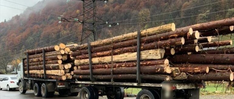 На Закарпатті затримали вантажівку, що перевозила кругляк “Ялини” без відповідних документів