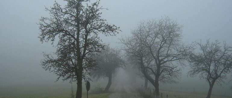Сьогодні на Закарпатті буде туман, але без опадів
