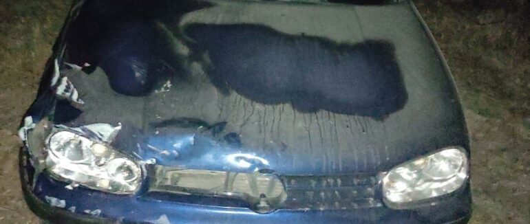 Чергова смертельна ДТП в Тячеві: водій легковика на смерть збив велосипедиста