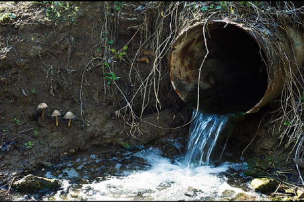 На Рахівщині виявили порушників, які зливали побутові відходи в придорожні ярки