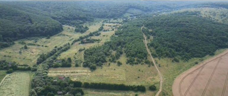 “Колись там проводили жертвоприношення”: у селі, яке зникає з карти Україні живе лише одна людина