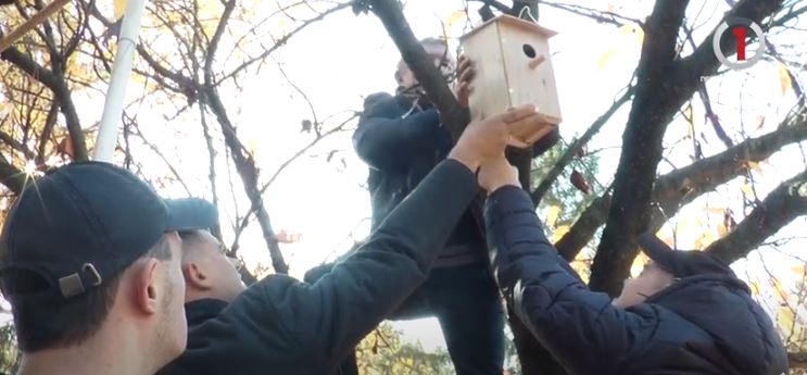 Годівнички особливими руками: як дітки реабілітаційного центру Ужгорода дбають про крилатих (ФОТО, ВІДЕО)